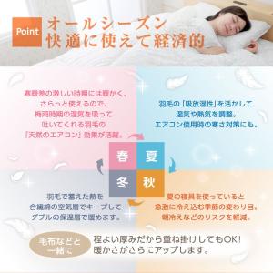 布団セット シングル 西川 3点セット シング...の詳細画像5