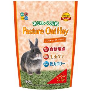 American Pet APD（アメリカンペットダイナー） チモシーゴールドヘイ