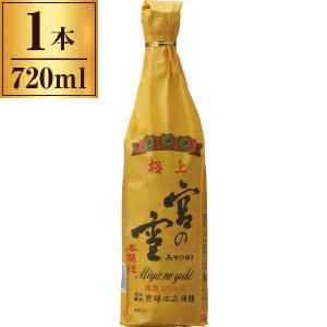 おーみや出品 TAMIYA (タミヤ) プラモデル ninja ZX-14 SPECIAL COLOR EDITION