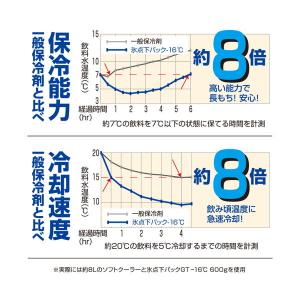 ロゴス 保冷剤 LOGOS 氷点下パックGT-...の詳細画像3