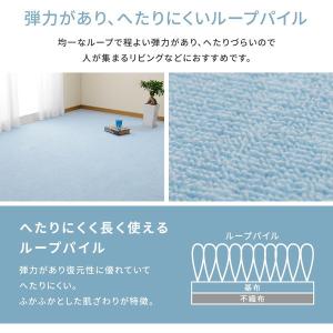 カーペット 6畳 江戸間 ラグ 日本製 抗菌 ...の詳細画像4