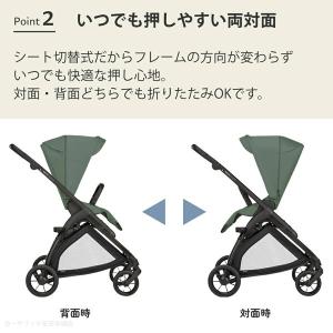 Inglesina イングリッシーナ エレクタ...の詳細画像4