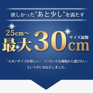 ビジネスシューズ 2足セット 16種類 選べる...の詳細画像4