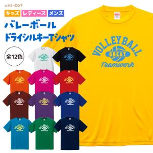 バレーボール Tシャツ ドライシルキー ウェア 練習着 チーム クラブ 部活 キッズ レディース メンズ 全12色 V21