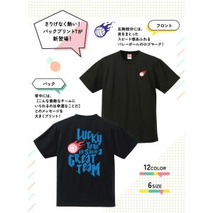 バレーボール Tシャツ 半袖 ドライ ウェア ...の詳細画像1