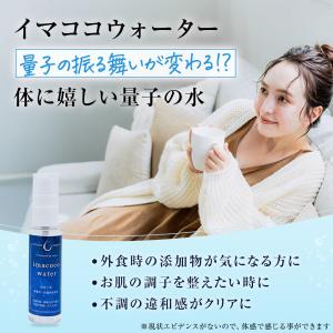 【正規代理店】CLEMIRA PHOENIX ...の詳細画像2
