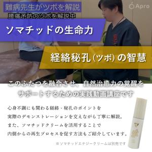 ソマチッド エナジークリームミニ 【 先着30...の詳細画像2