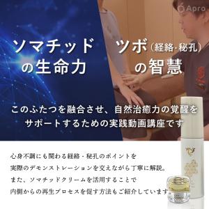 ★第1弾★ソマチッドエナジークリームミニ 【 ...の詳細画像3