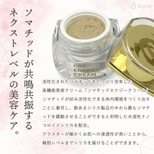 ★第1弾★ソマチッドエナジークリームミニ 【 ...の詳細画像4