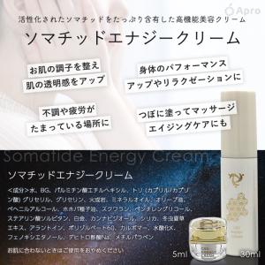 ★第1弾★ソマチッドエナジークリームミニ 【 ...の詳細画像5