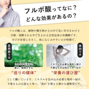 リッチなフルボさん 2〜5個セット(15,00...の詳細画像5