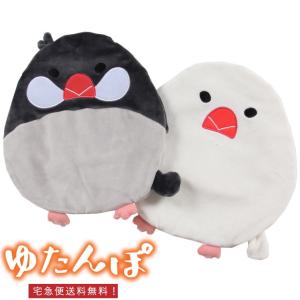 【宅急便送料無料】【あすつく】湯たんぽ