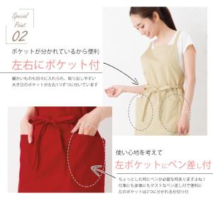 【日本製】【メール便1枚のみ対応可能】【あすつ...の詳細画像4