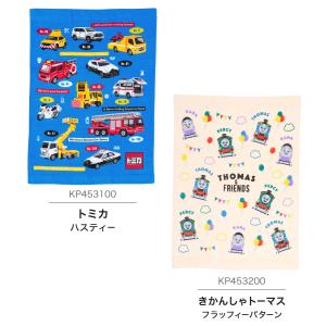 キャラクターマルチタオル お昼寝ケット【85×...の詳細画像3