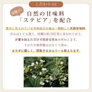 人工甘味料 不使用 こだわり ハチミツ 紅茶 ...の詳細画像4