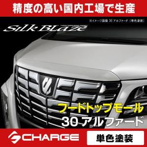 当社塗装品 ランボ アルファード 30系 前期 ボンネットトップモール
