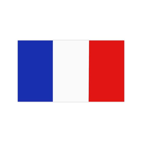 東洋マーク　国旗　ステッカー　フランス　中　1249