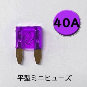 平型ミニヒューズ 40A シルバー端子 AFM-...の商品画像