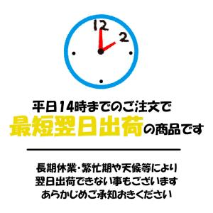 リード工業 バイクヘルメット 半帽 半ヘル ハ...の詳細画像2