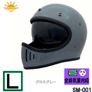 DAMMTRAX（ダムトラックス） バイクヘルメット フルフェイス AKIRA