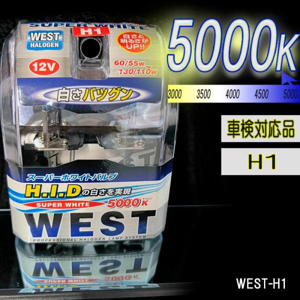 5000ケルビン 【車検対応品】 フォグランプ 12V車用 スーパーホワイトバルブ 2個入り WES...