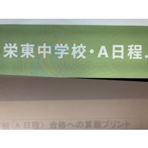 中学受験　栄東中学校・Ａ日程　2025年分析理科プリント