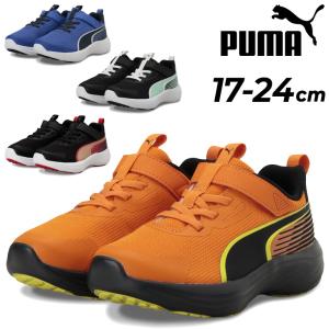 プーマ スニーカー キッズ ジュニア PUMA スピード モンスター / 17-24cm 子供靴 ゴム紐 面ファスナー ベルトタイプ キッズ用スニーカー /313960【pu22pd】