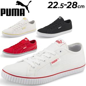 スニーカー メンズ レディースシューズ プーマ PUMA エヴァー ロープロ CV/ローカット スポーティ キャンバス おしゃれ 靴 ユニセックス くつ/383030｜apworld