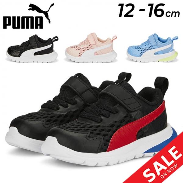 プーマ ベビー キッズ スニーカー 12-16cm 子供靴/PUMA エボルブ ラン サマー AC ...