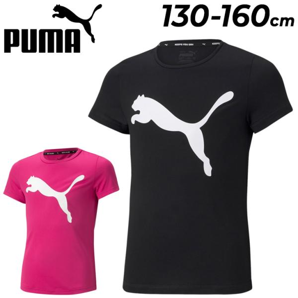 プーマ キッズ 半袖 Tシャツ 女の子 PUMA ESS アクティブ Tee/ジュニア 130-16...