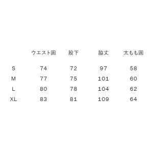 ザ・ノース・フェイス ロングパンツ メンズ T...の詳細画像5
