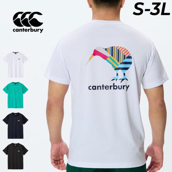 カンタベリー 半袖シャツ Tシャツ メンズ レディース canterbury S/S アグリーキウイ...