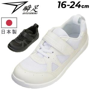 キッズシューズ 瞬足 足育 キッズ ジュニア ス...の商品画像