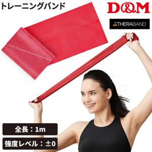 THERABAND（セラバンド） D&M トレーニングバンド 初心者向け 強度