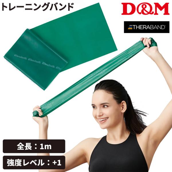 D&amp;M セラバンド トレーニングバンド 初心者向け 強度レベル+1 緑 グリーン 全長1m ディー＆...
