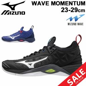 バレーボールシューズ メンズ レディース ミズノ mizuno WAVE MOMENTUM ウエーブ モーメンタム/ローカット 2.5E相当 男女兼用 スポーツシューズ/V1GA1912-