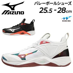 バレーボールシューズ 2.5E相当 メンズ ミズノ mizuno WAVE MOMENTUM 2 ウエーブモーメンタム2/バレー 競技者 靴 一般 学生 スポーツシューズ くつ/V1GA2112-B｜apworld