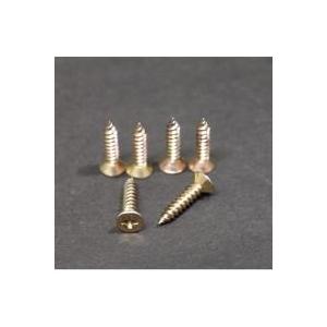 タカラスタンダード（Takara standard） [10191714] ビス(6本)【ステン