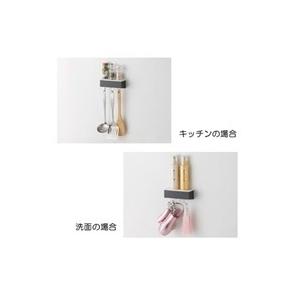 タカラスタンダード 41282590 小物置きS＋フック MGSKコモノフックS(CG