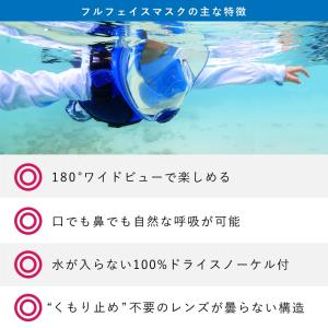 爆買 ヘレイワホ シュノーケルセット フルフェ...の詳細画像3