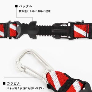 爆買 スナッピーコイル The Standar...の詳細画像1