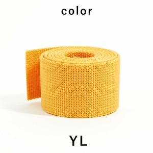 ウェイトベルト The Standard ザ・...の詳細画像2