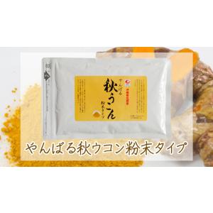 秋うこん粉末100g(袋入)沖縄やんばる産 送料無料 沖縄ウ...