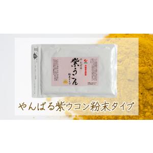 送料無料 紫うこん粉末 100ｇ 沖縄やんばる産 沖縄ウコン堂 セール 健康 ポイント消化