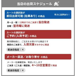 フェスティノ 選べる豪華特典 ドライヤー ツヤ...の詳細画像3