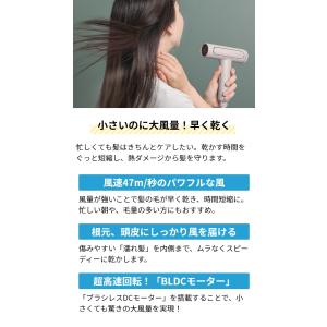 フェスティノ 選べる豪華特典 ドライヤー ツヤ...の詳細画像5