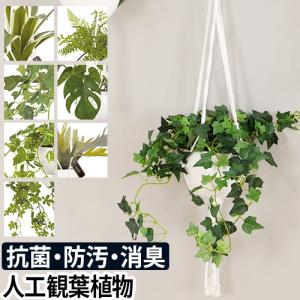光触媒　観葉植物　ウォールグリーン　フェイクグリーン　ブランチウンベラータ1.6 光触媒 光の楽園 ブランチウンベラータ1.6m【ラッピング不可】 : 光の