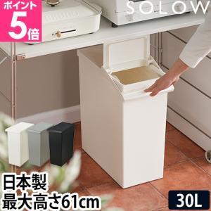 ゴミ箱 ごみ箱 SOLOW 棚下で使えるスリムダ...の商品画像
