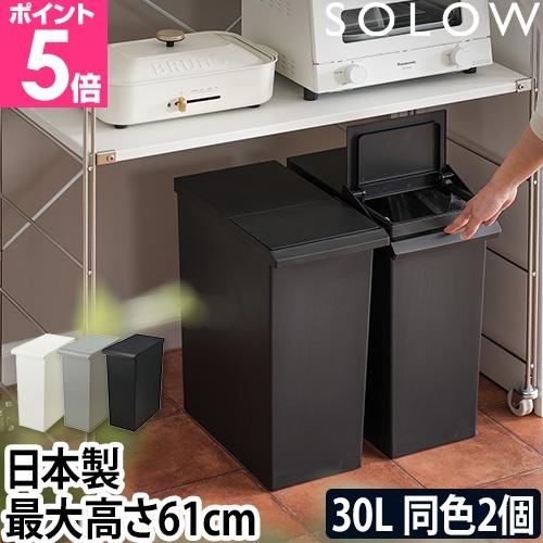 ゴミ箱 ごみ箱 SOLOW 棚下で使えるスリムダストボックスレバーオープン30L 同色2個セット30...