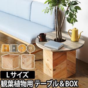 プランツテーブル＆ボックス Lセット Plants Table & Box 観葉植物 カバー｜aqua-inc